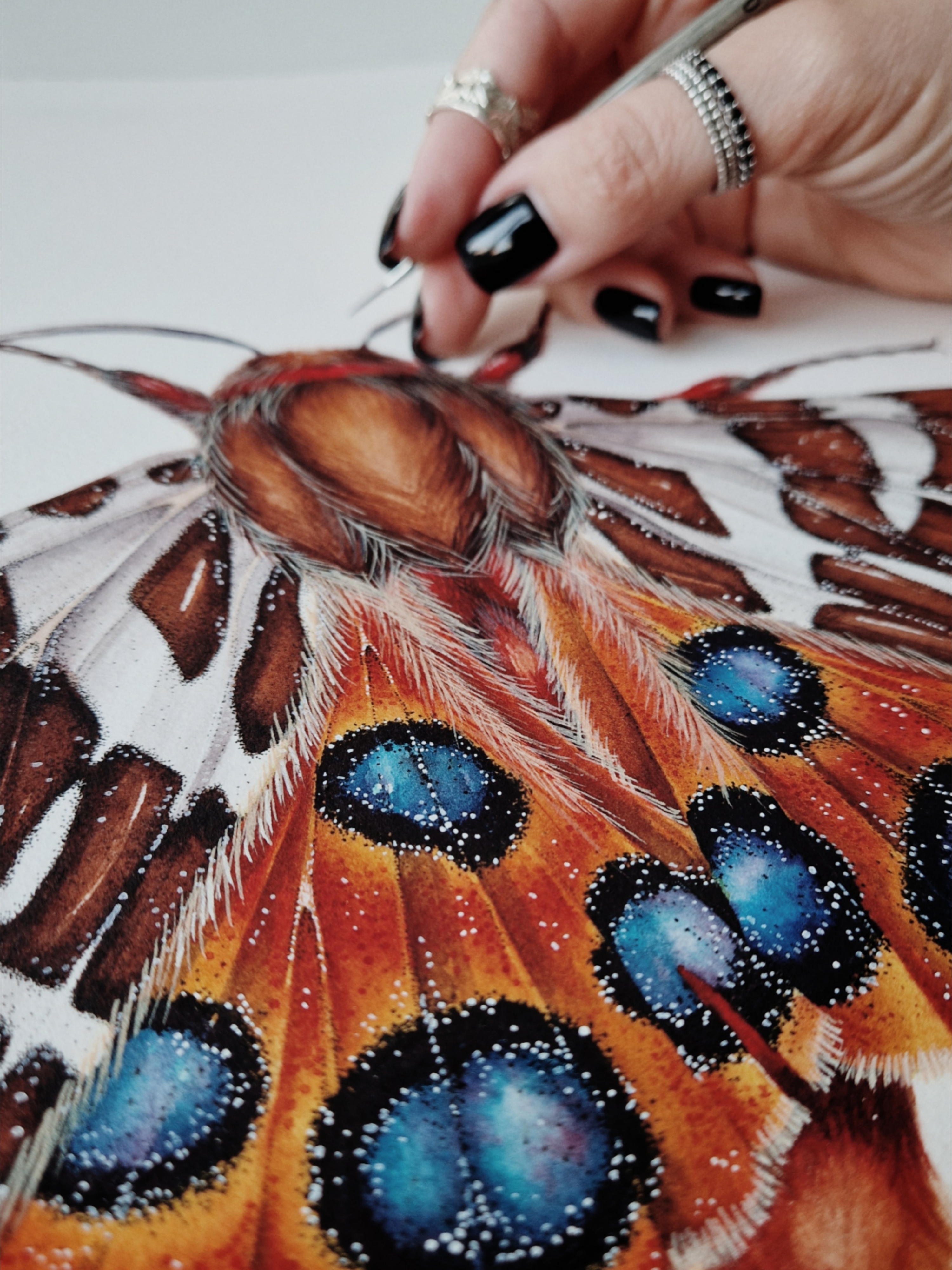 Picsart_25-11-04_12-31-41-172