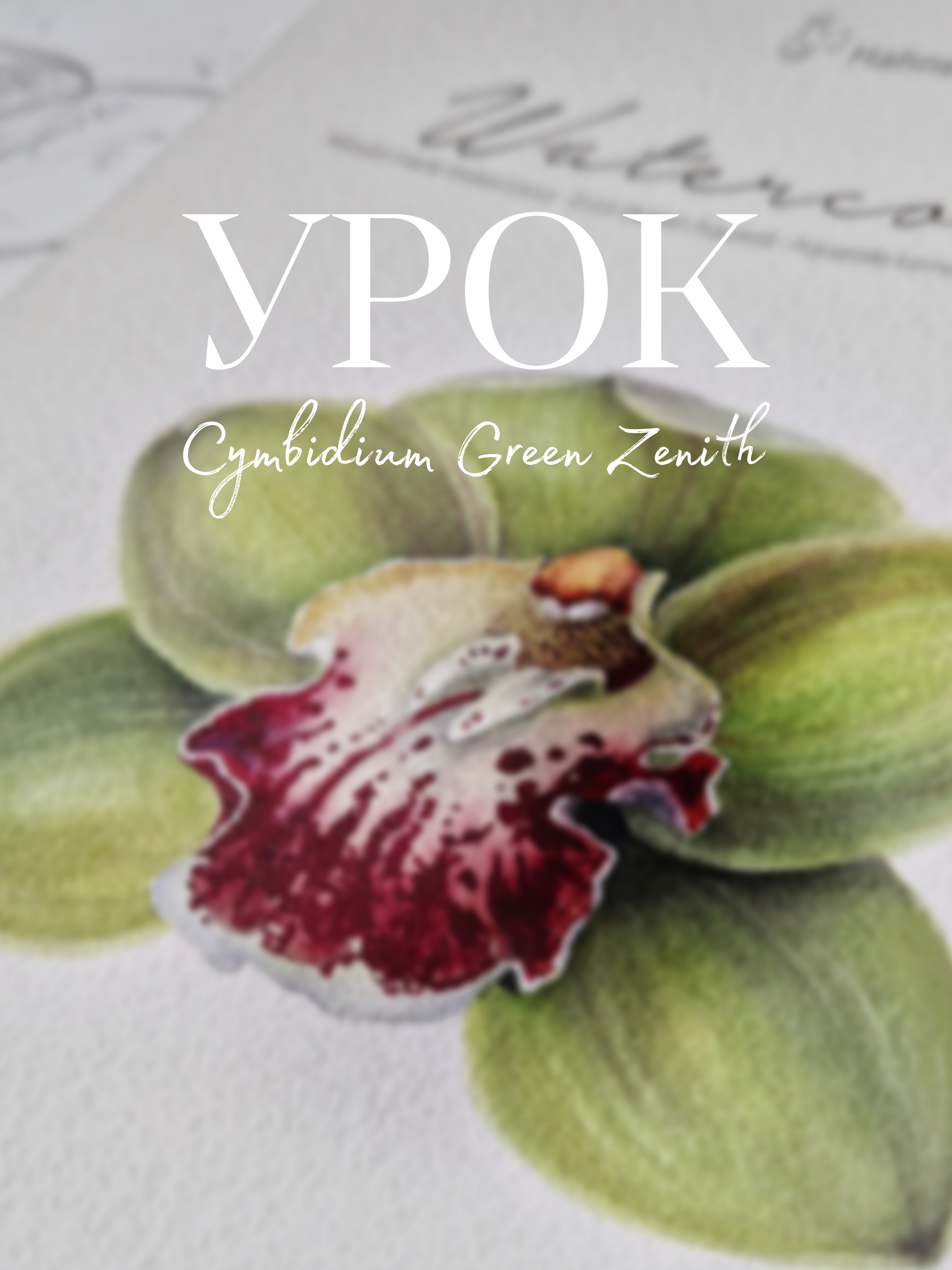 Picsart_25-11-04_14-33-09-235