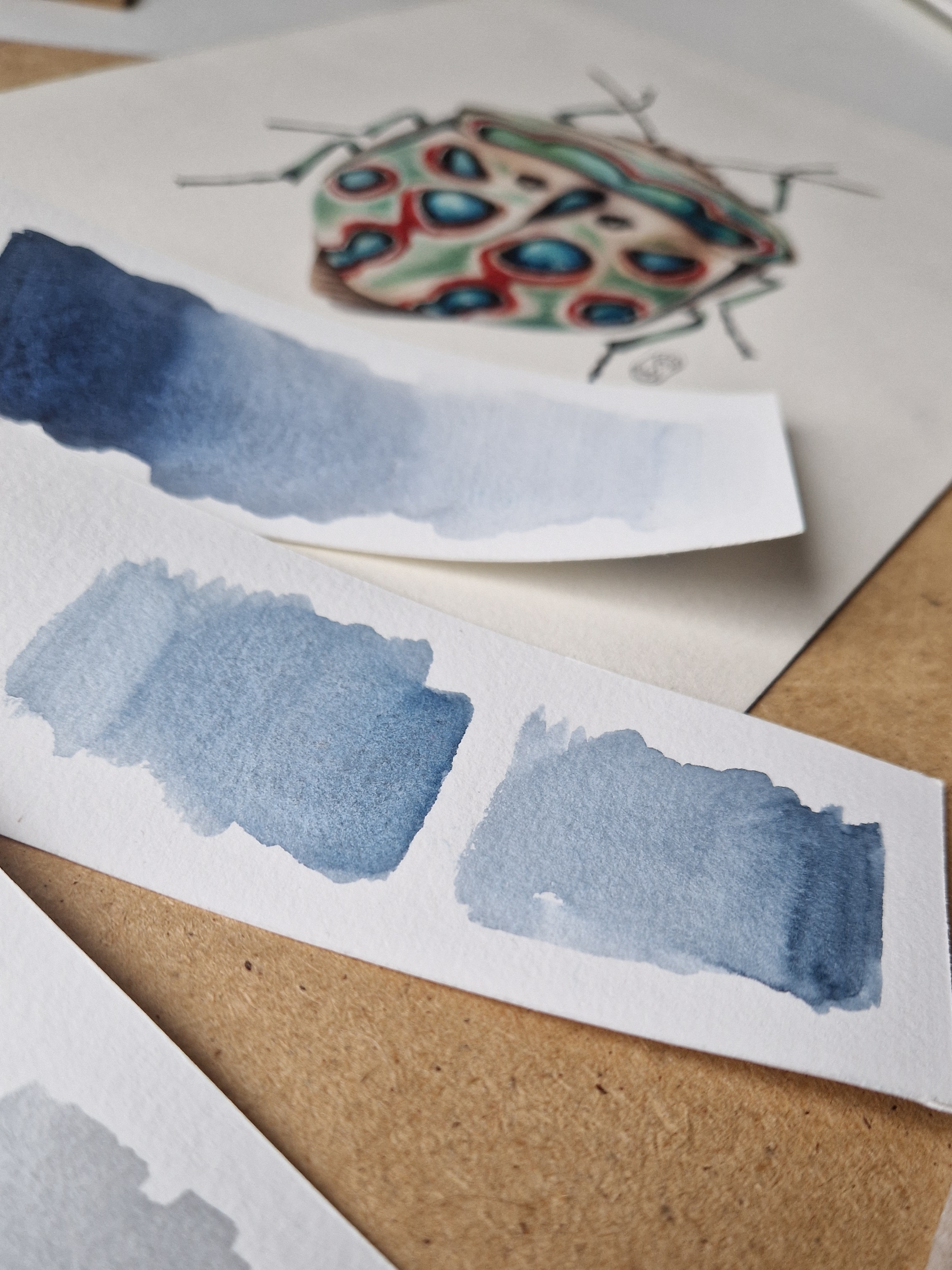 Picsart_25-11-04_14-35-54-392