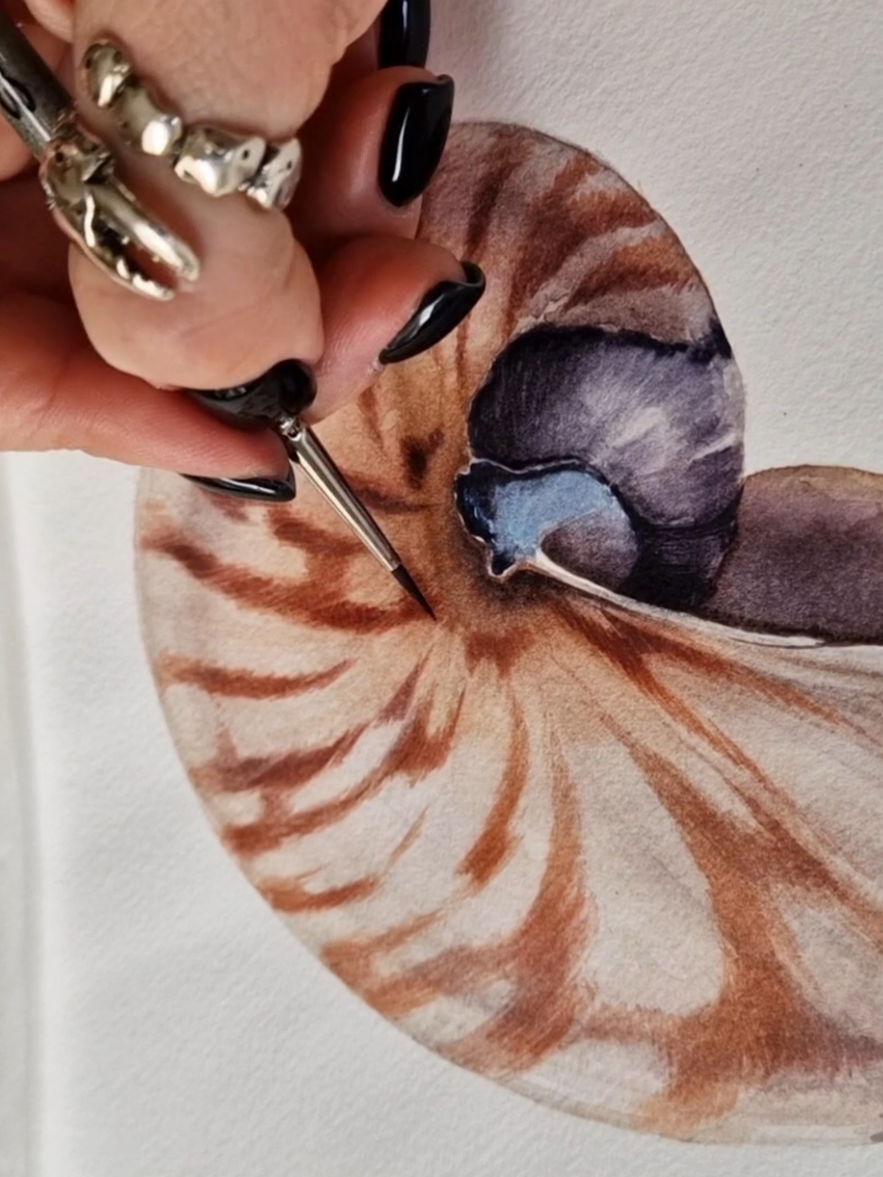 Picsart_25-11-04_14-49-27-966