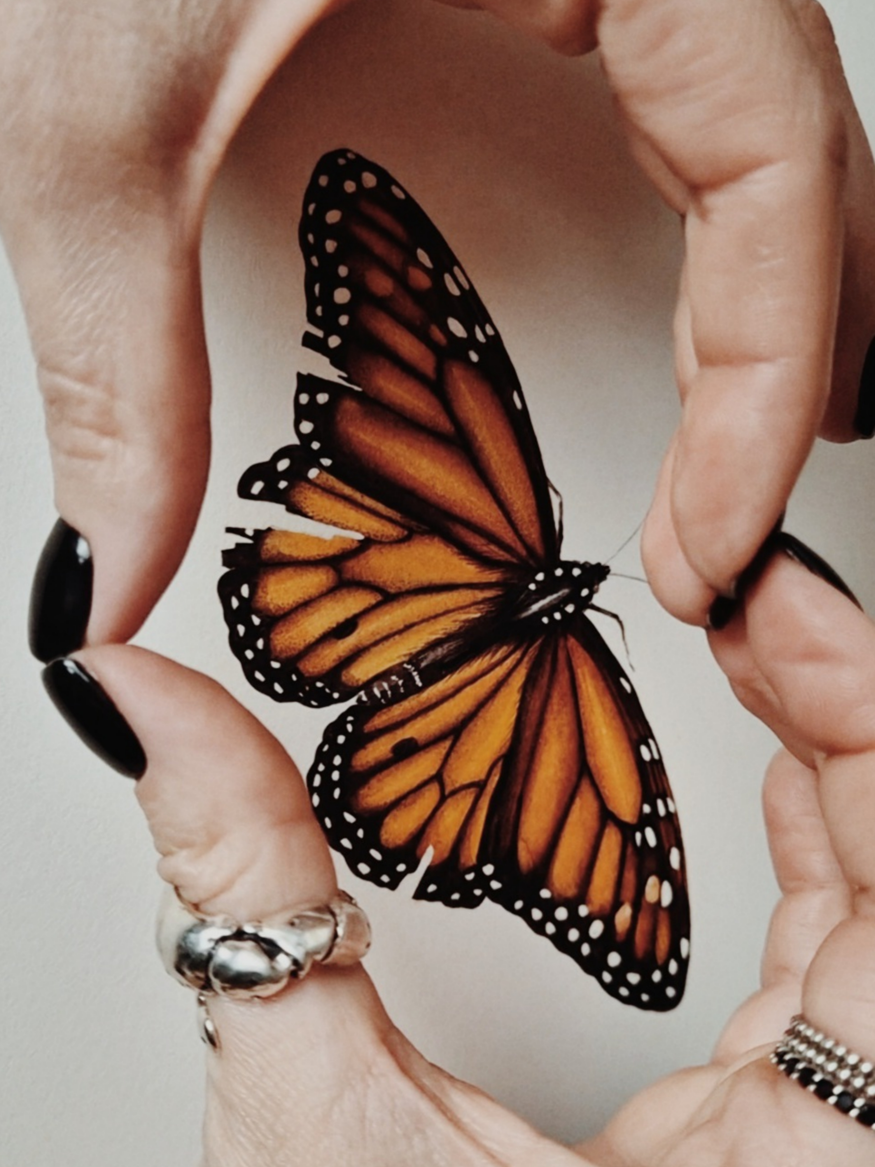 Picsart_25-11-12_17-49-23-276