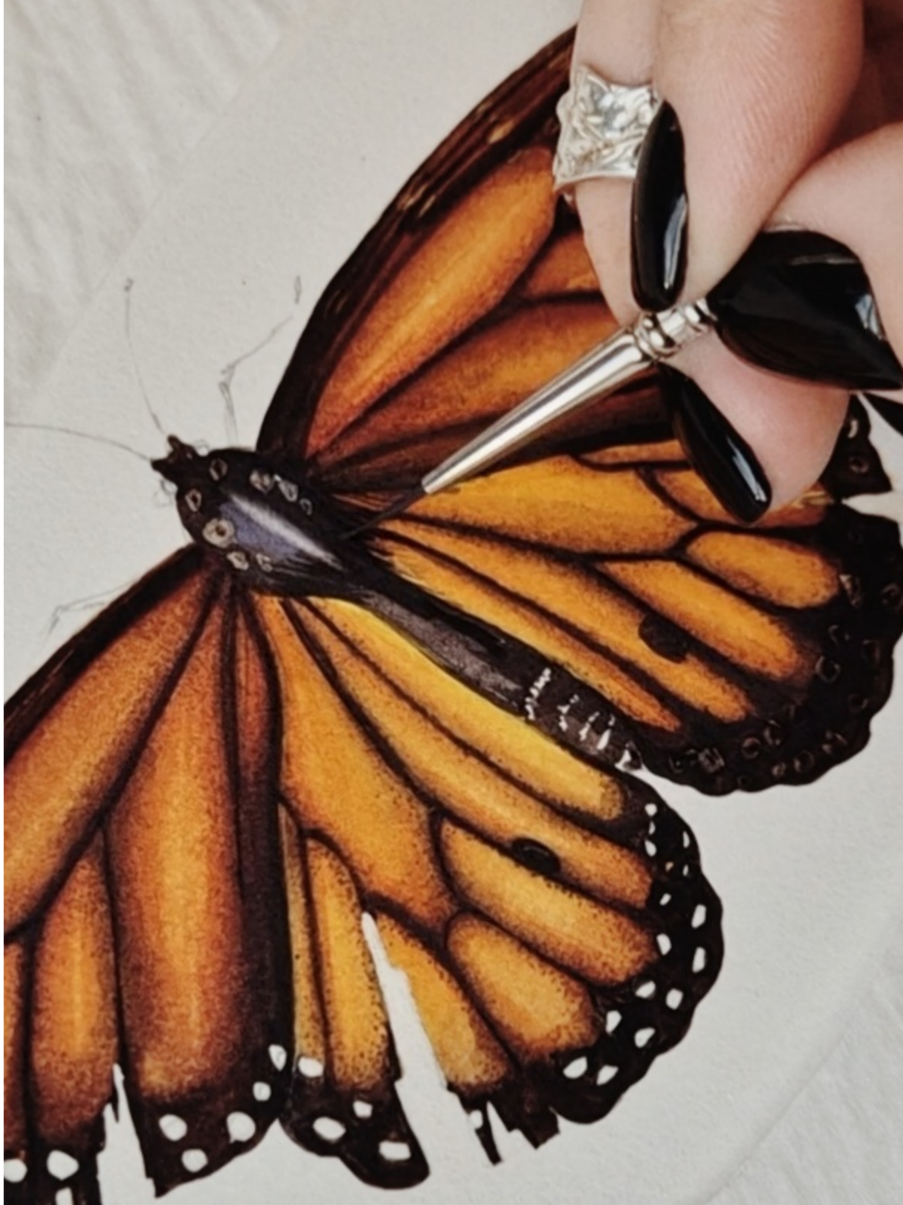 Picsart_25-11-12_17-50-12-636