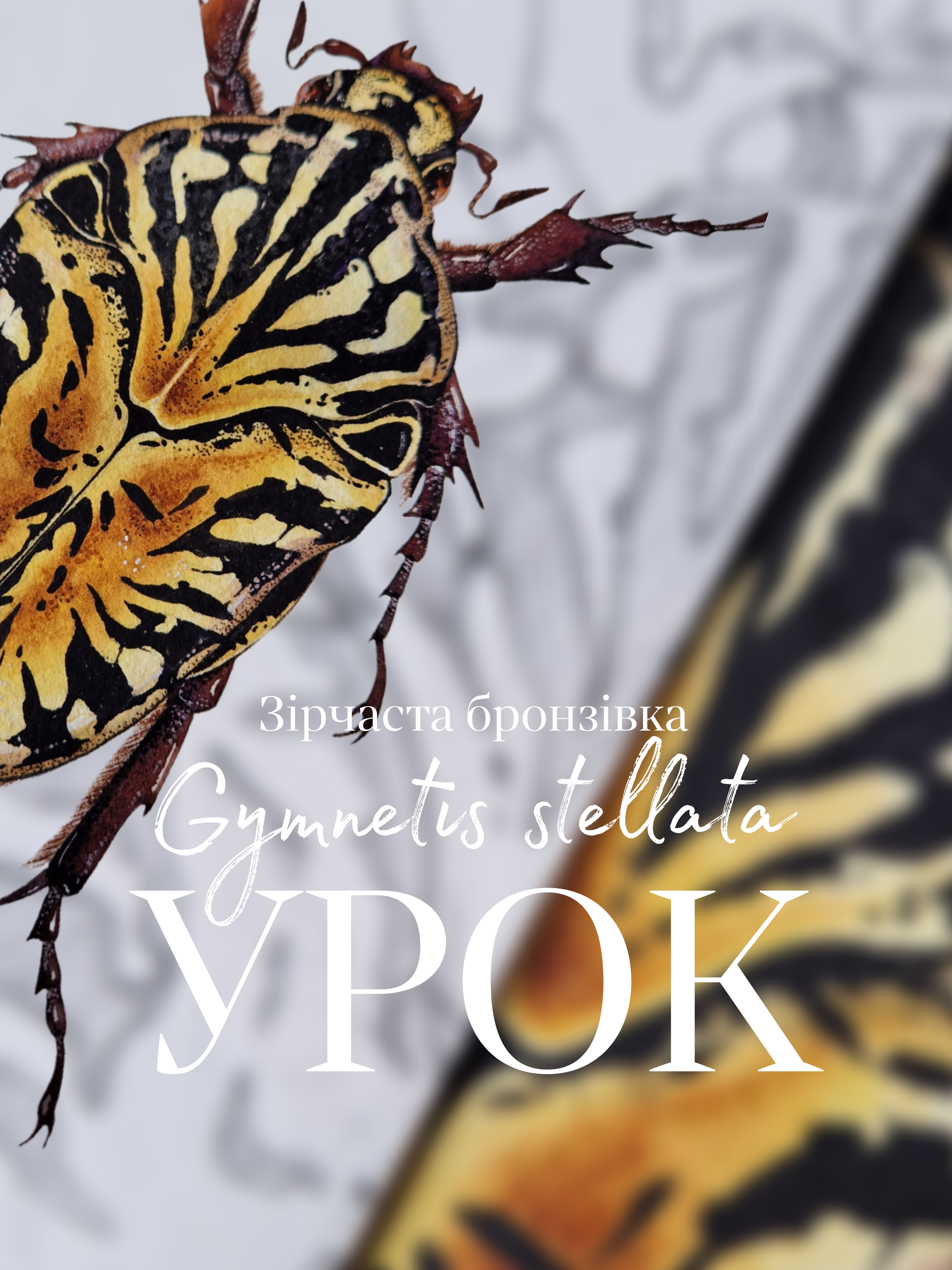 Picsart_25-12-12_11-54-23-591