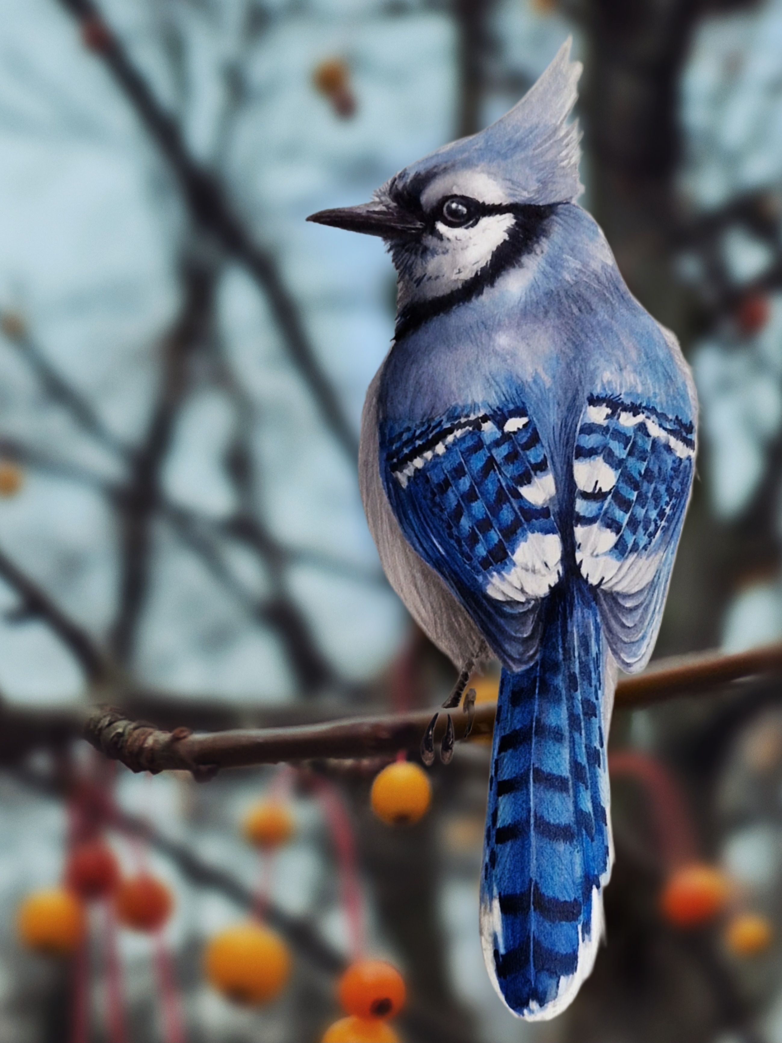 Picsart_25-12-16_11-04-38-385(1)