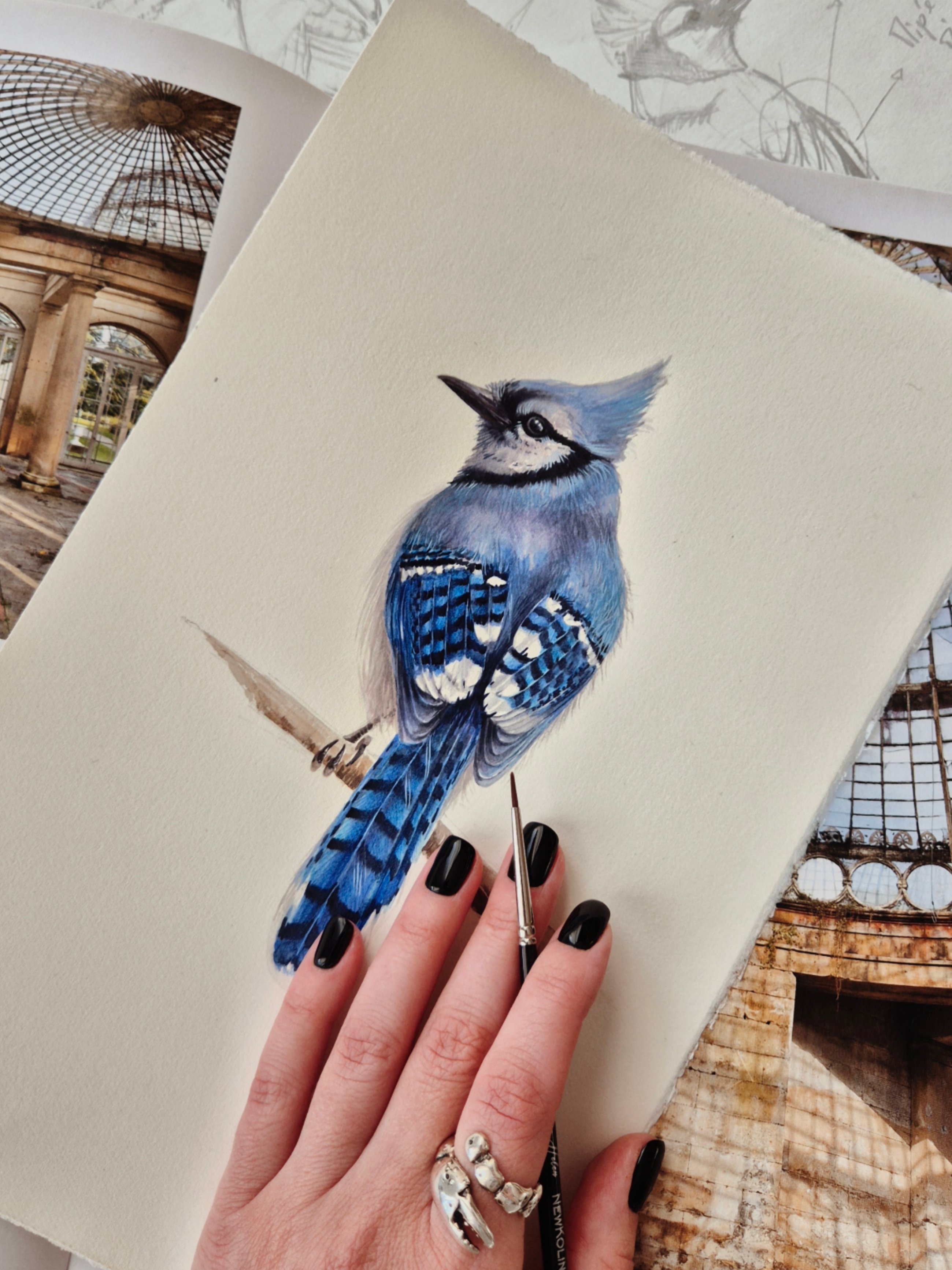 Picsart_25-12-16_12-33-06-197