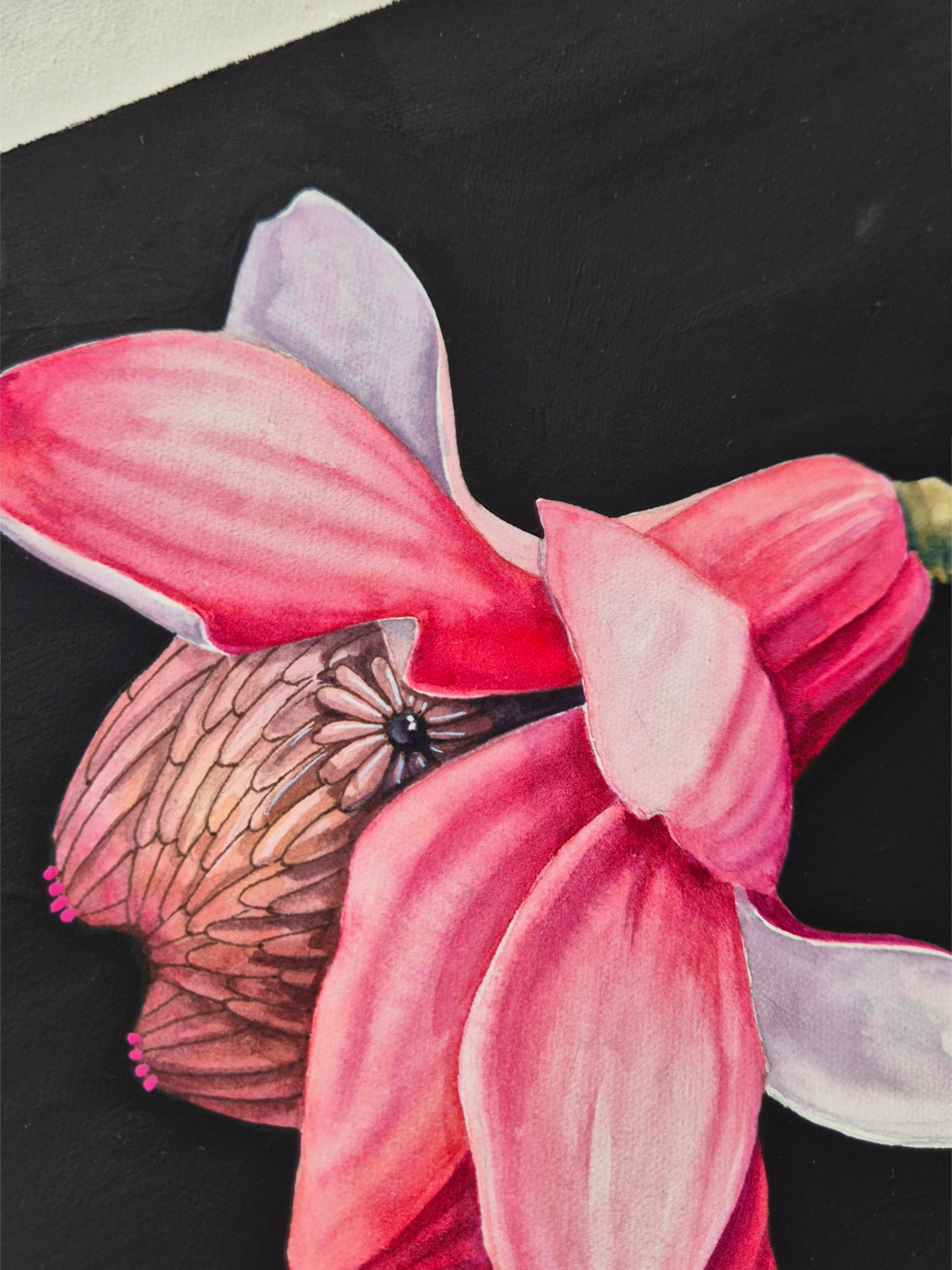 Picsart_26-03-12_11-29-12-974