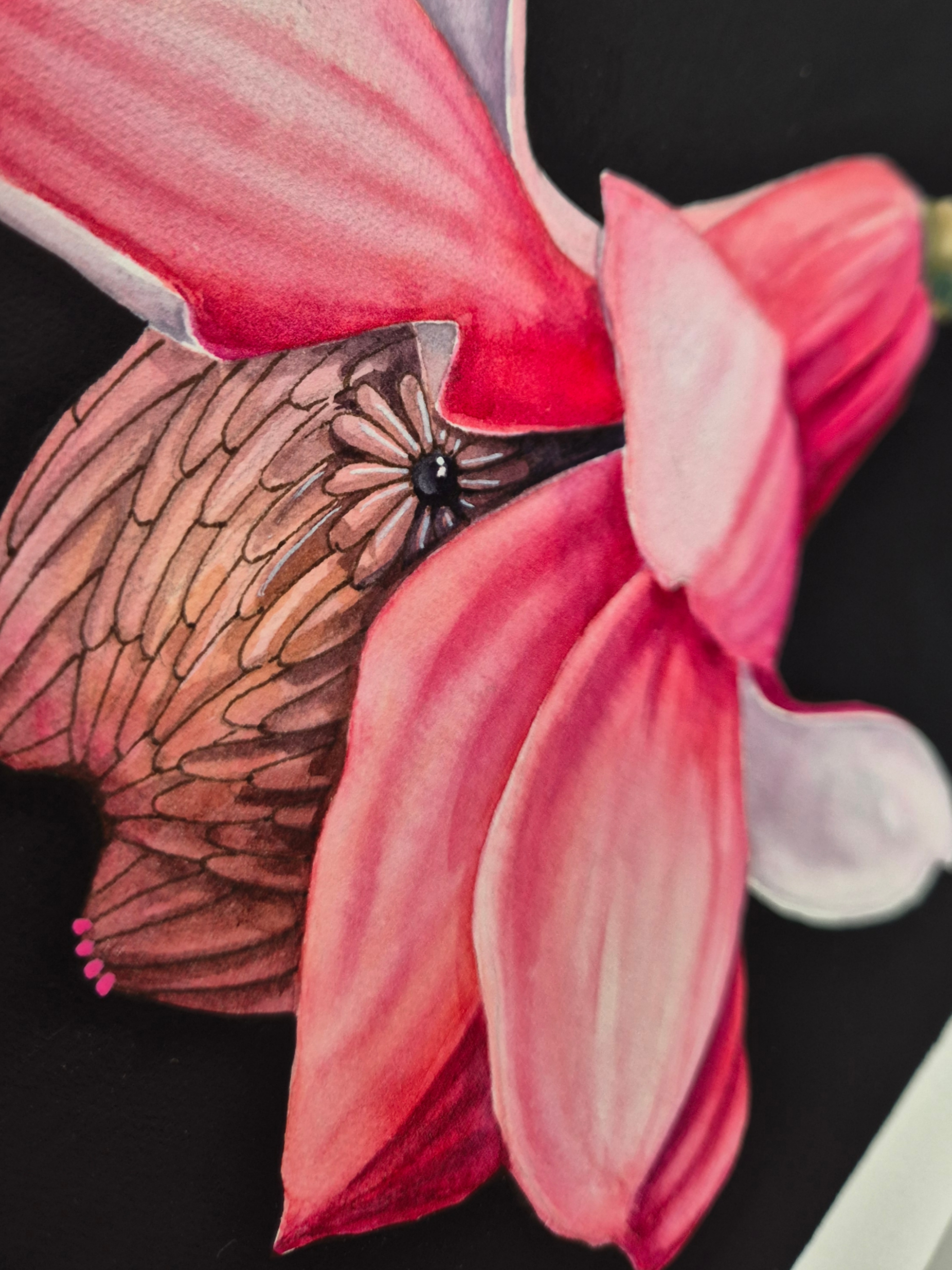 Picsart_26-03-12_11-33-55-741