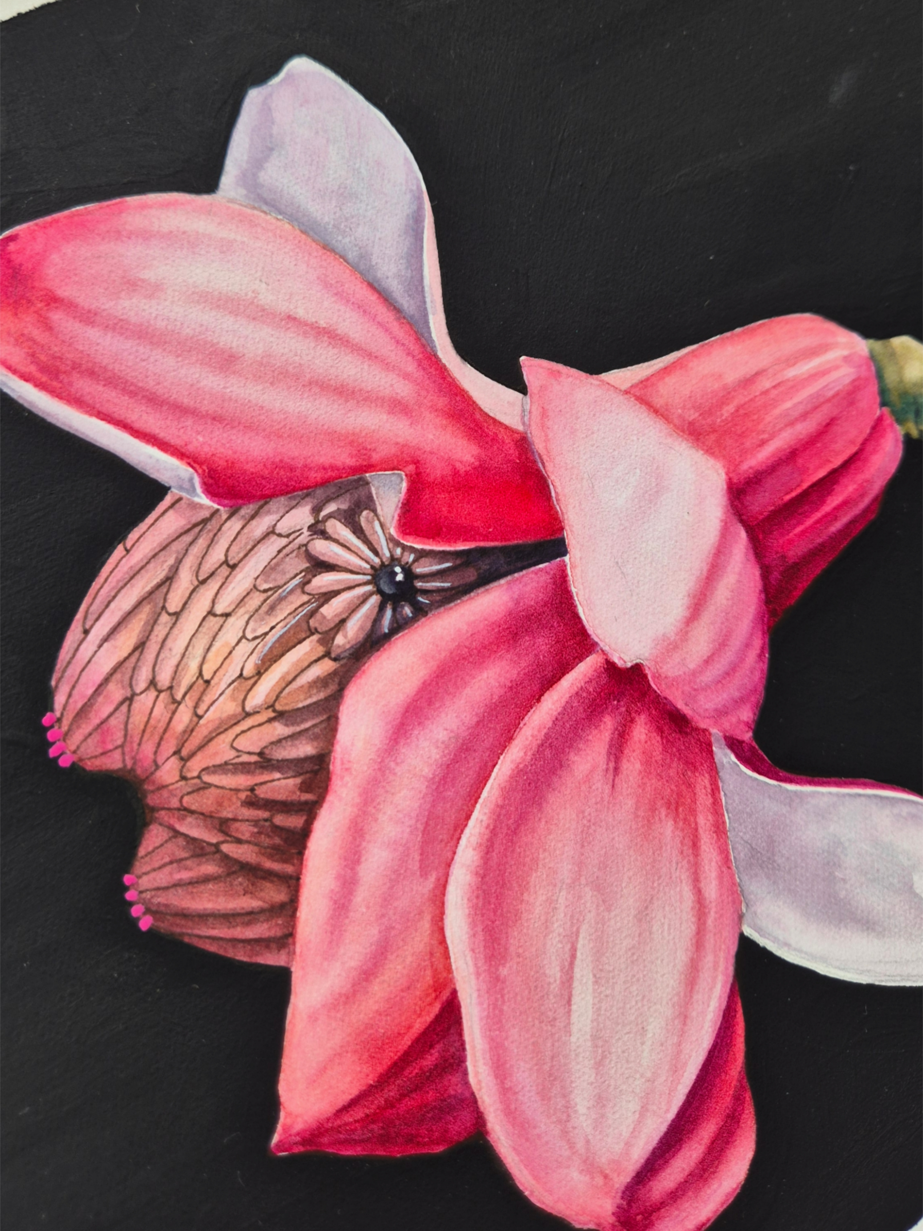 Picsart_26-03-12_11-34-13-259