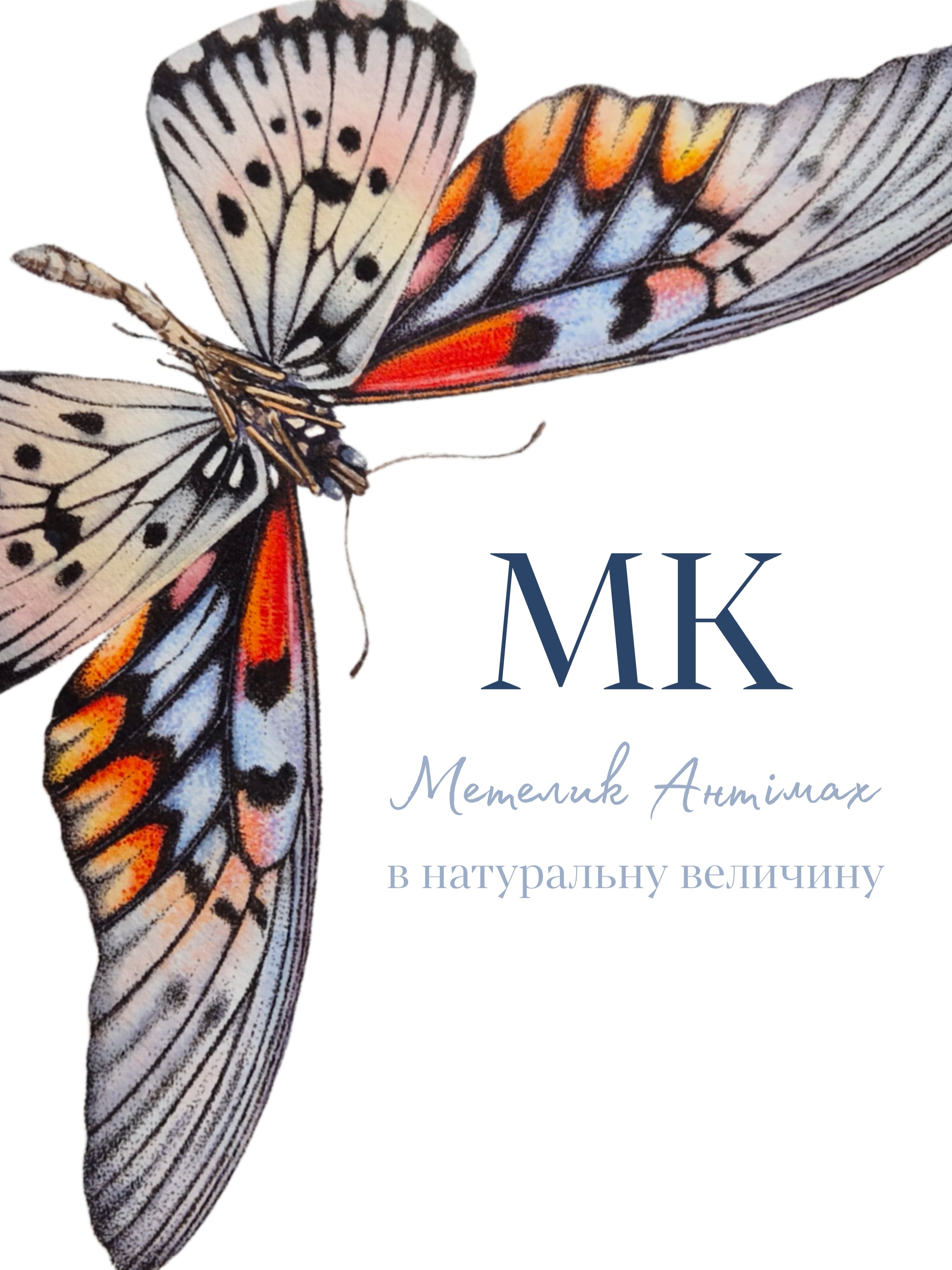 Picsart_26-03-21_14-01-42-277