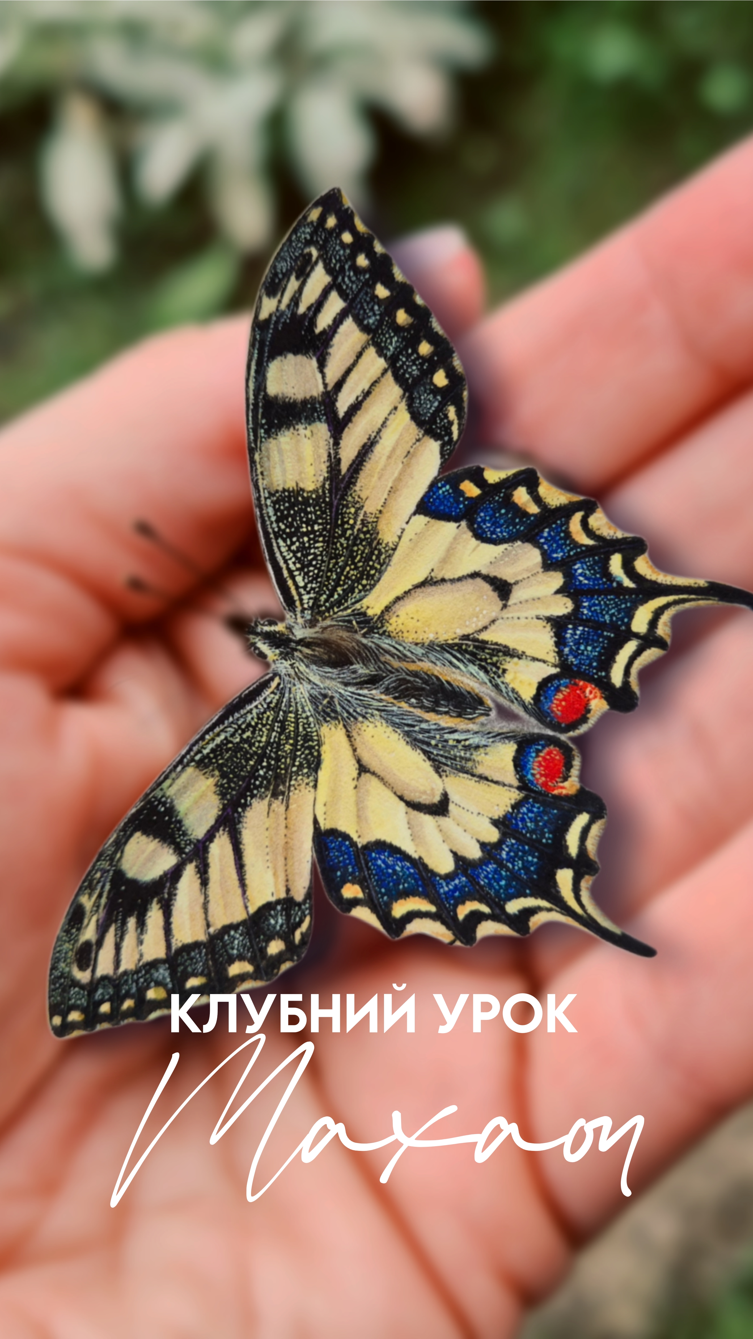 Picsart_26-10-12_12-32-04-957