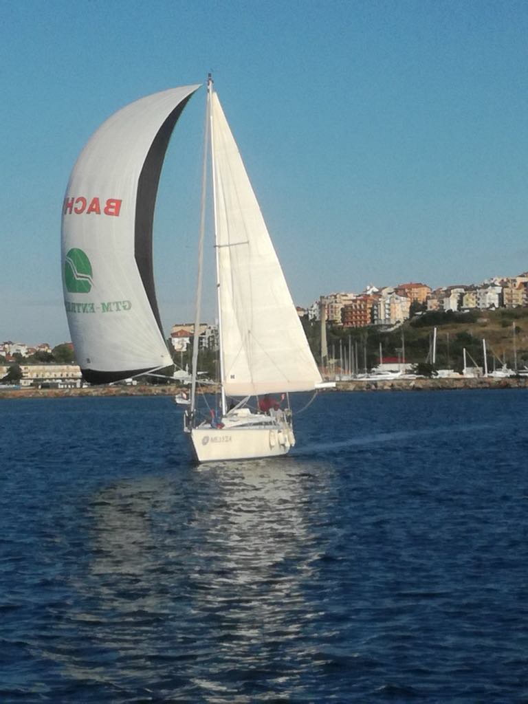 viber_image_2025-03-01_22-17-24-402