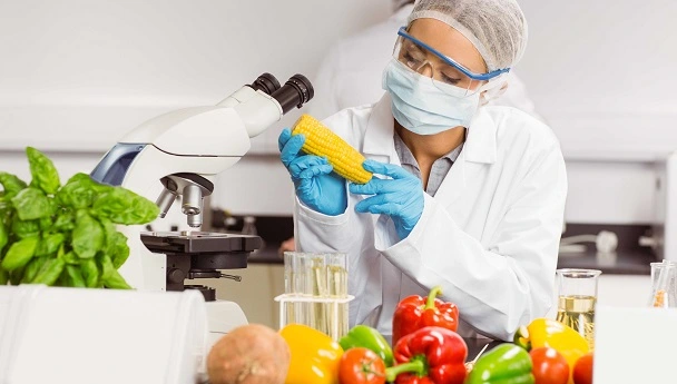 innovacion-alimentos