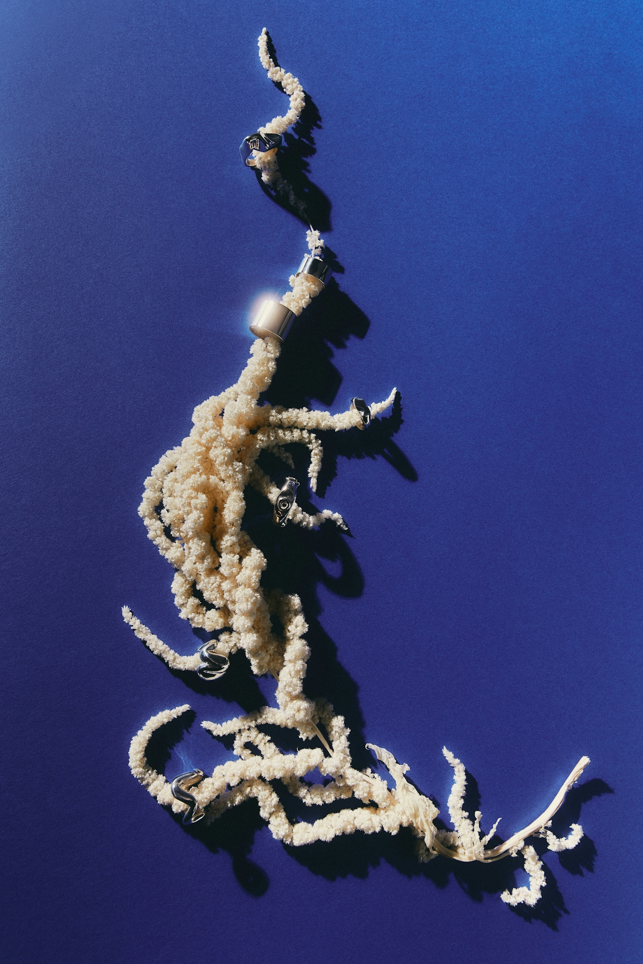 DTS_Daniel_Faro_Treasure_011