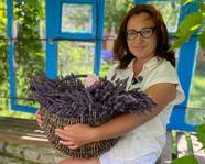 httpszelenasadyba.sendpulse.school_roses_3_1