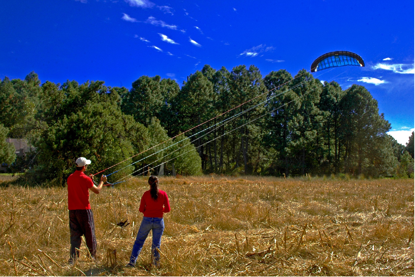 212098906_dddda57314_o_mini