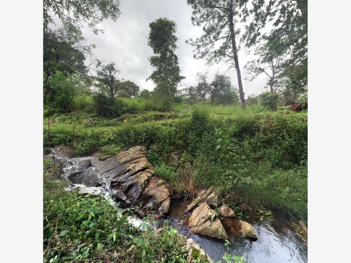 221201130731-a35b26641baa4848b8b4655b5f29a70bl