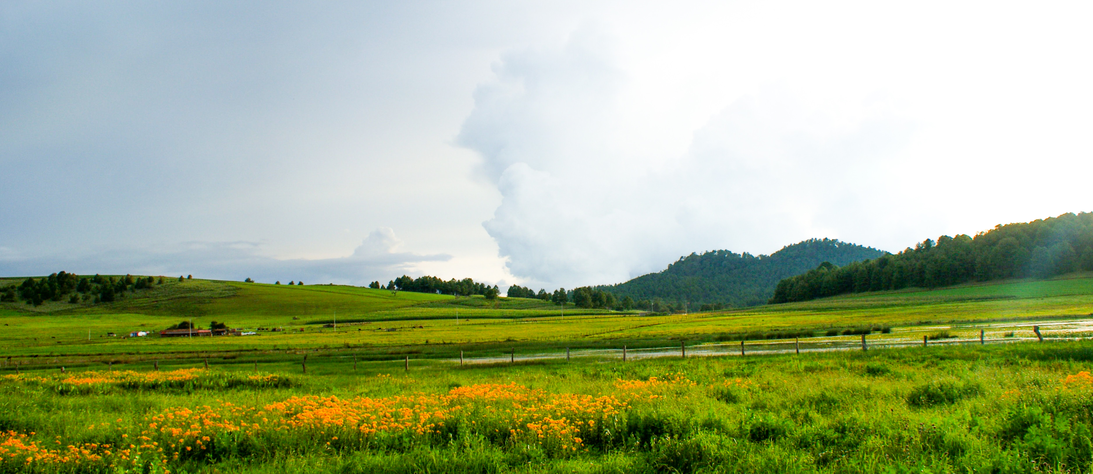 5134347647_3004f9f87d_4k_1