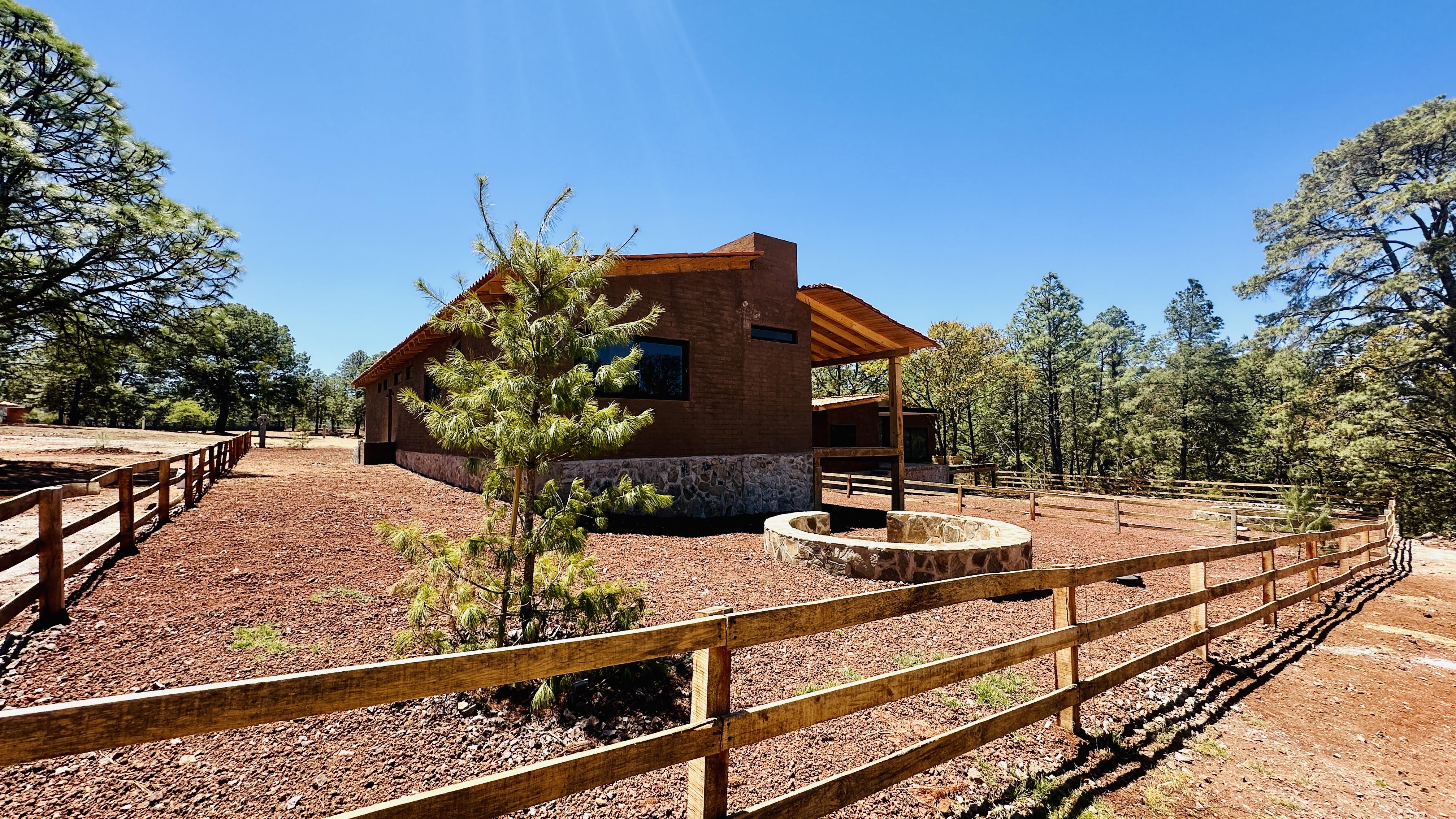 IMG_8011photo-full_Copy