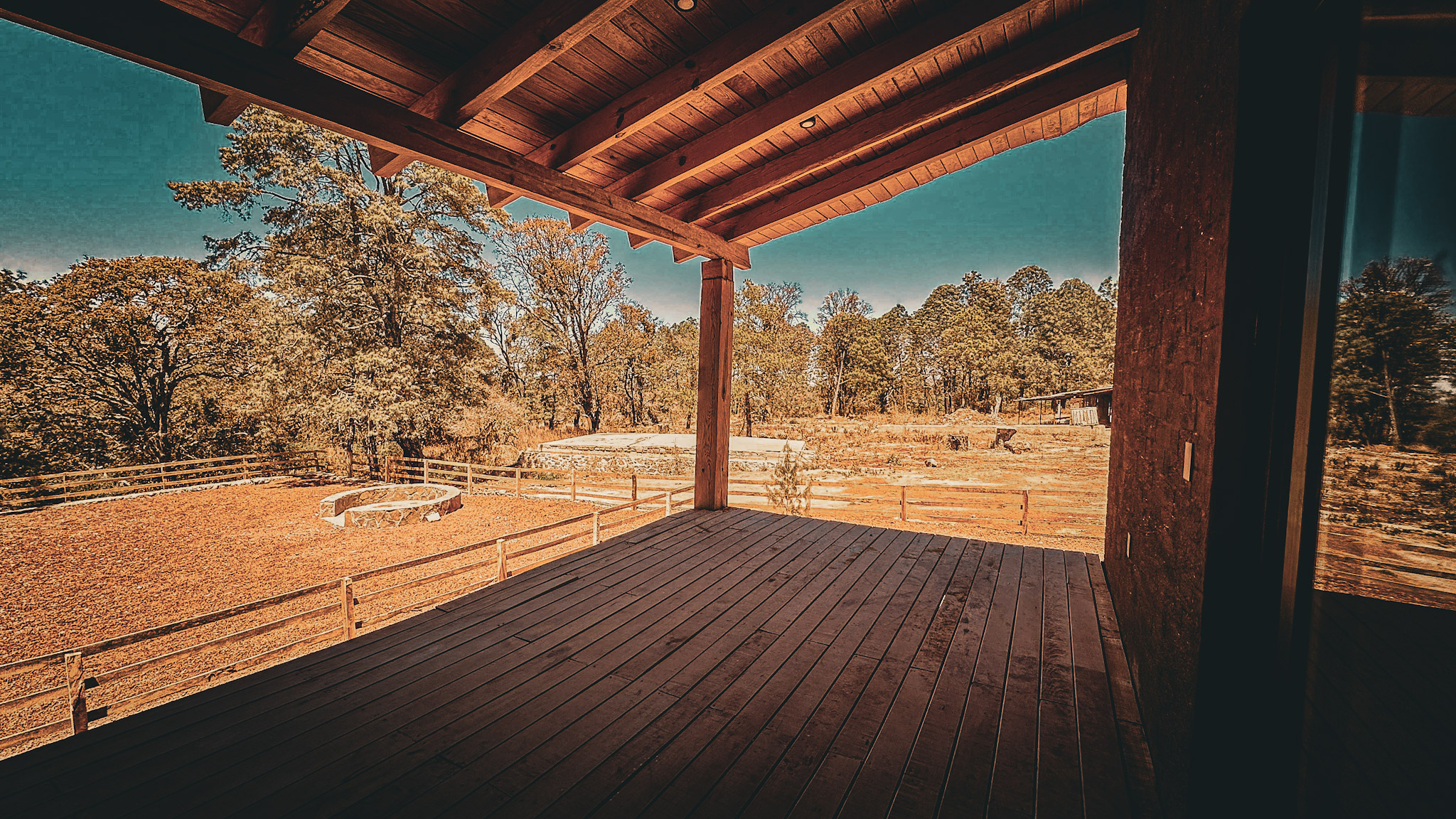 IMG_8015photo-full_Copy