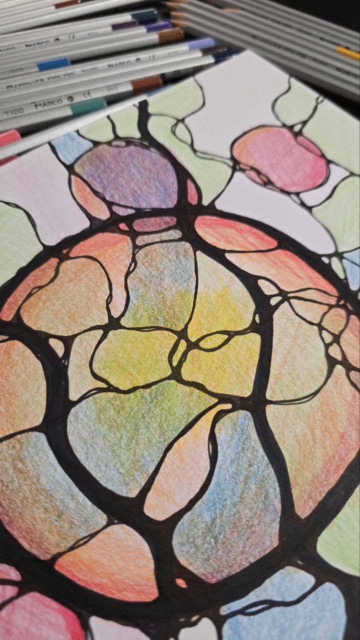 photo_2024-12-27_17-10-57