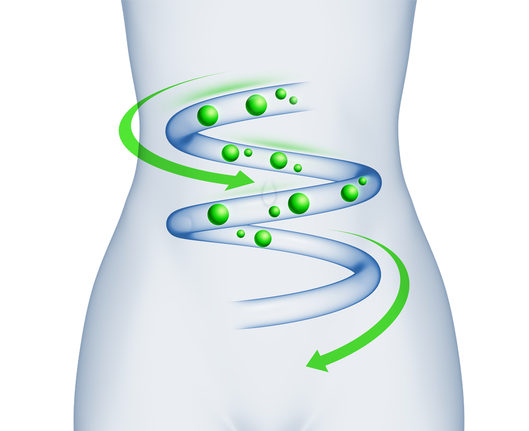 pngwing_com_-_2024-11-19T121417_730