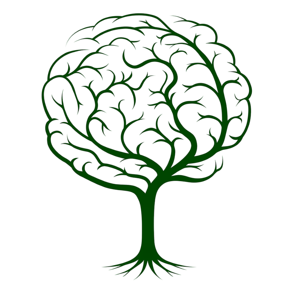 pngwing_com_-_2024-10-19T133241_496-Photoroom