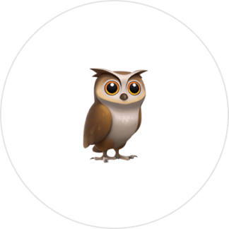 owl