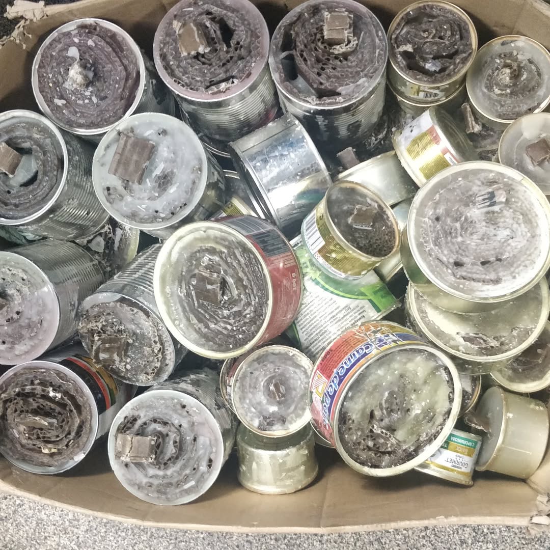 387737992_1048584629835186_1514626061912889051_n