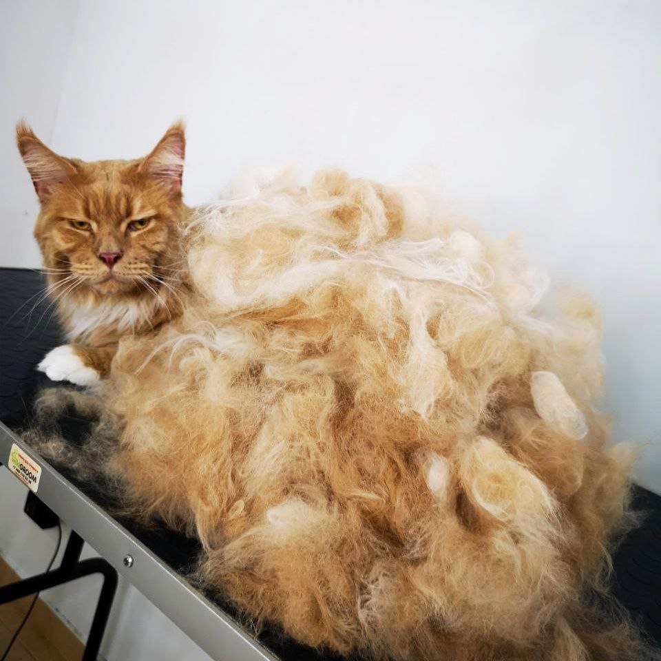 1a28ffe6-6a79-46b3-a787-1304e4d49d8a