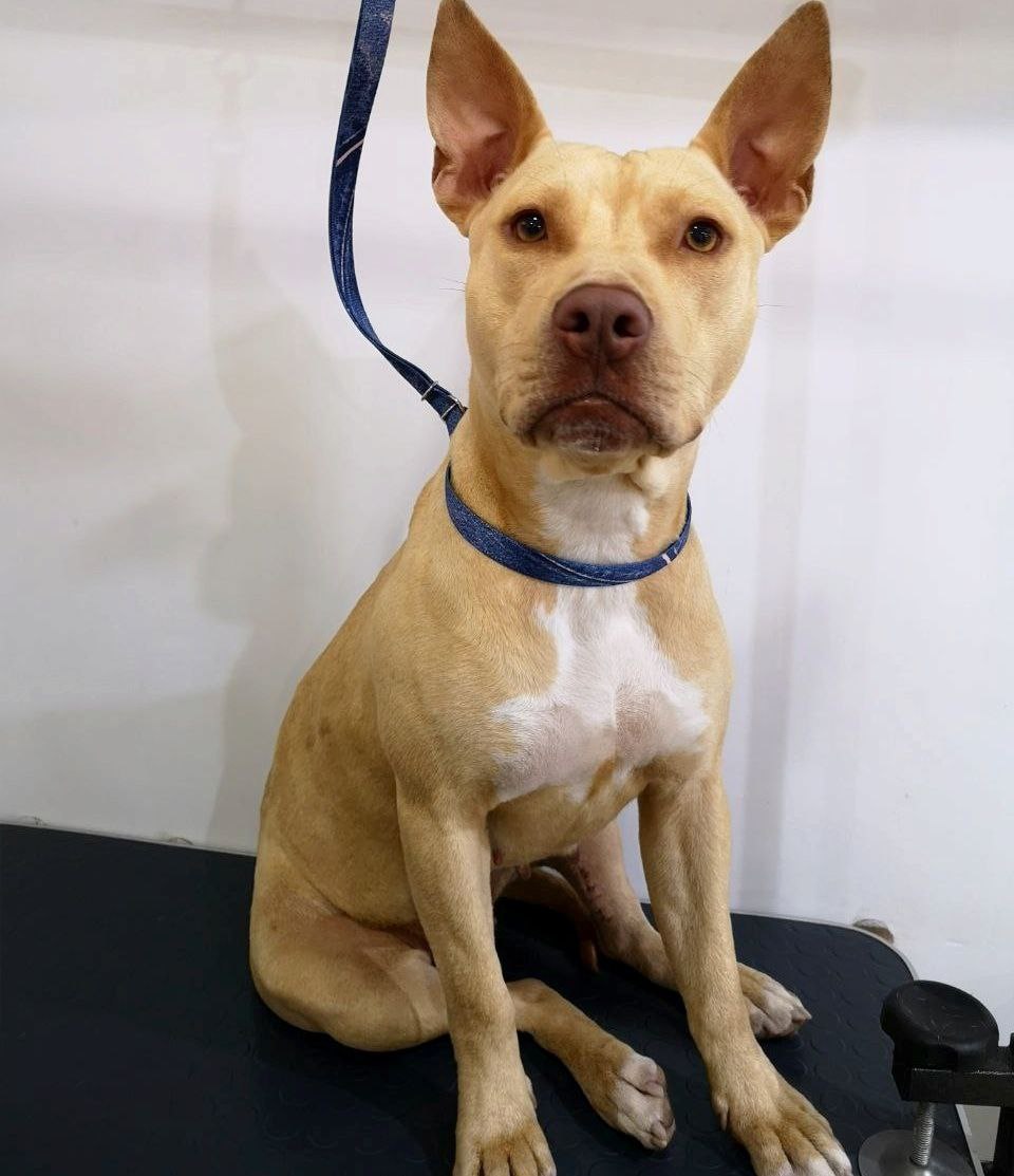 1a5cbc56-3034-451d-b10f-272ba64ac042