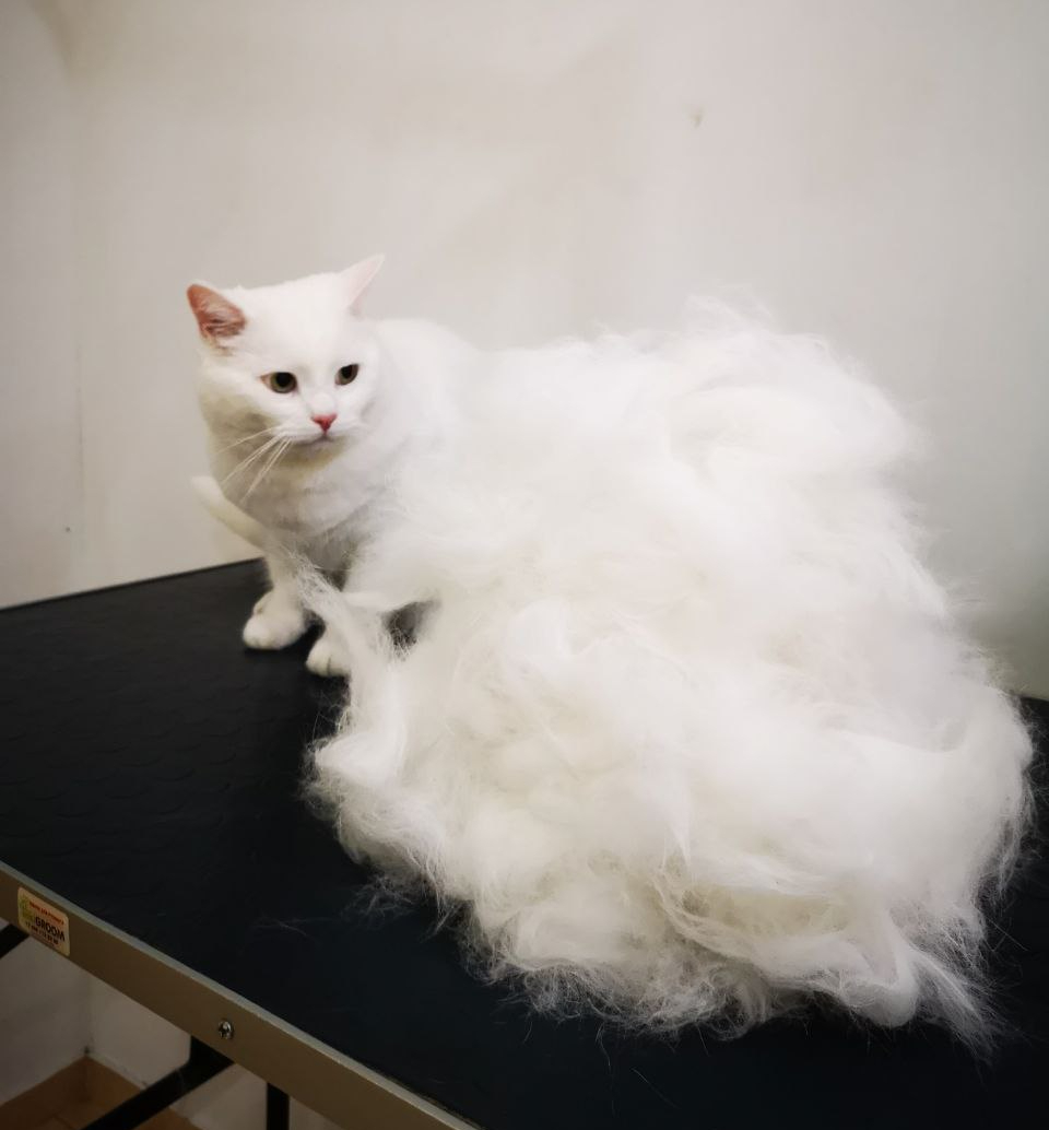 2741d35d-cbe7-4303-80f0-1cf7c00b189f