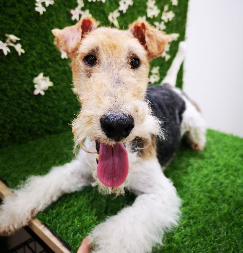 48244797-9a1f-4998-b3a2-7fa8cf43d562