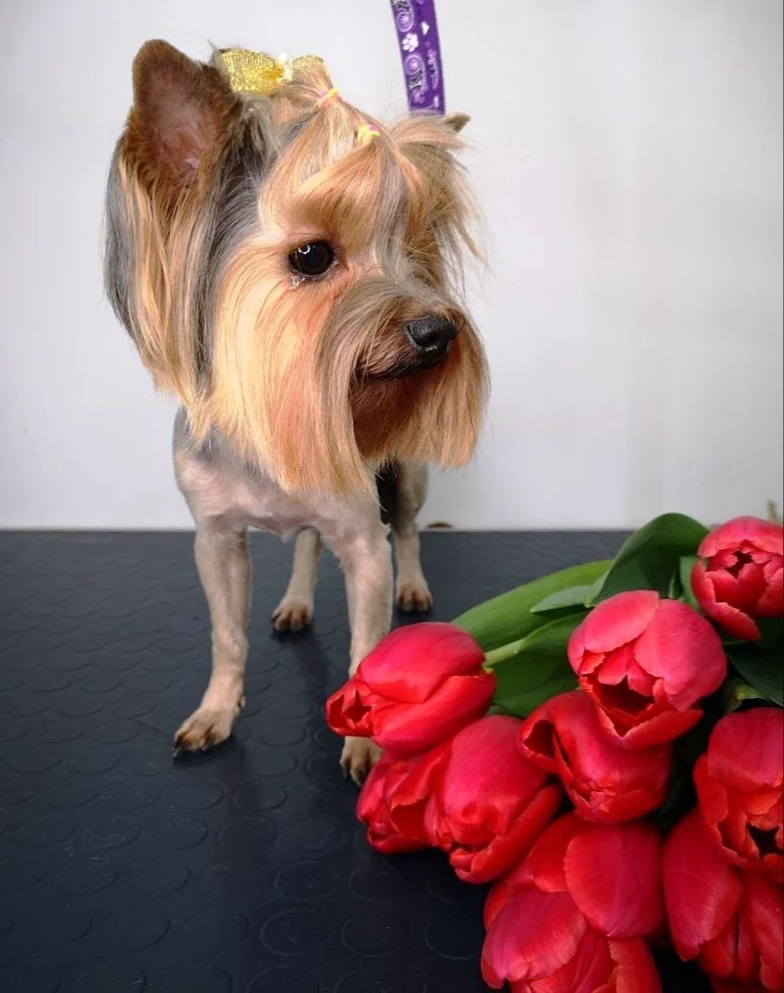 61940e16-29ea-48be-82a6-7e752afd675f