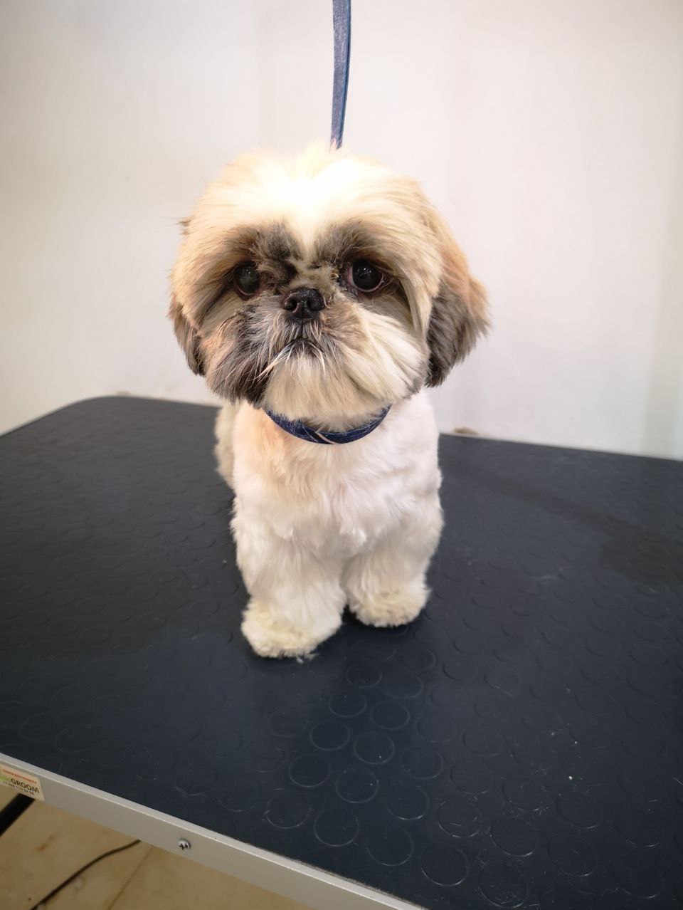 7305b3eb-318c-43da-840a-1188518ad432