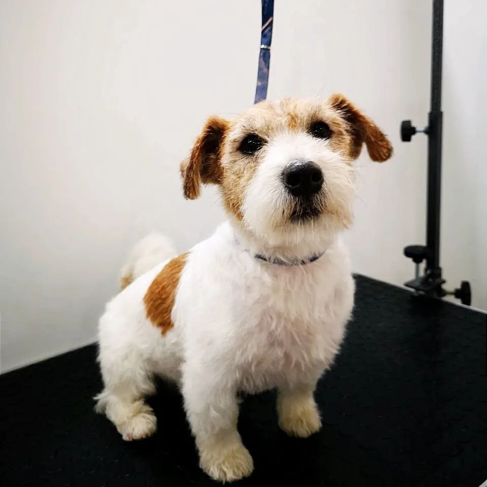 84964636-7800-4e2e-8f12-6f51b085e279