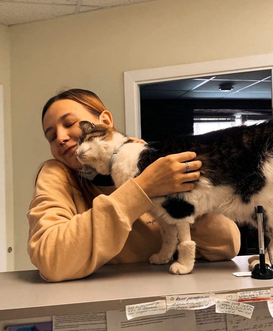 86f851db-e281-41c2-87dc-825d324a7d16