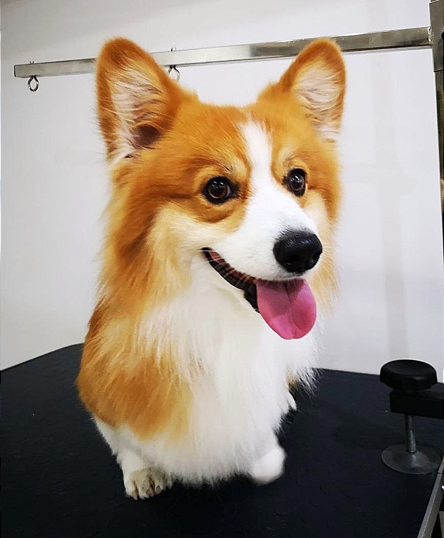 9df96b0c-37a0-4db1-99cf-8acffd8d5e5d