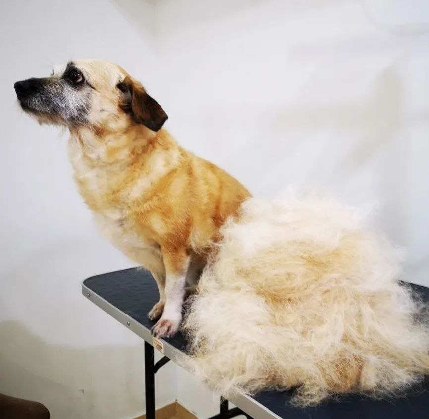 9e1e73e1-3625-4535-97fb-be69cd077208