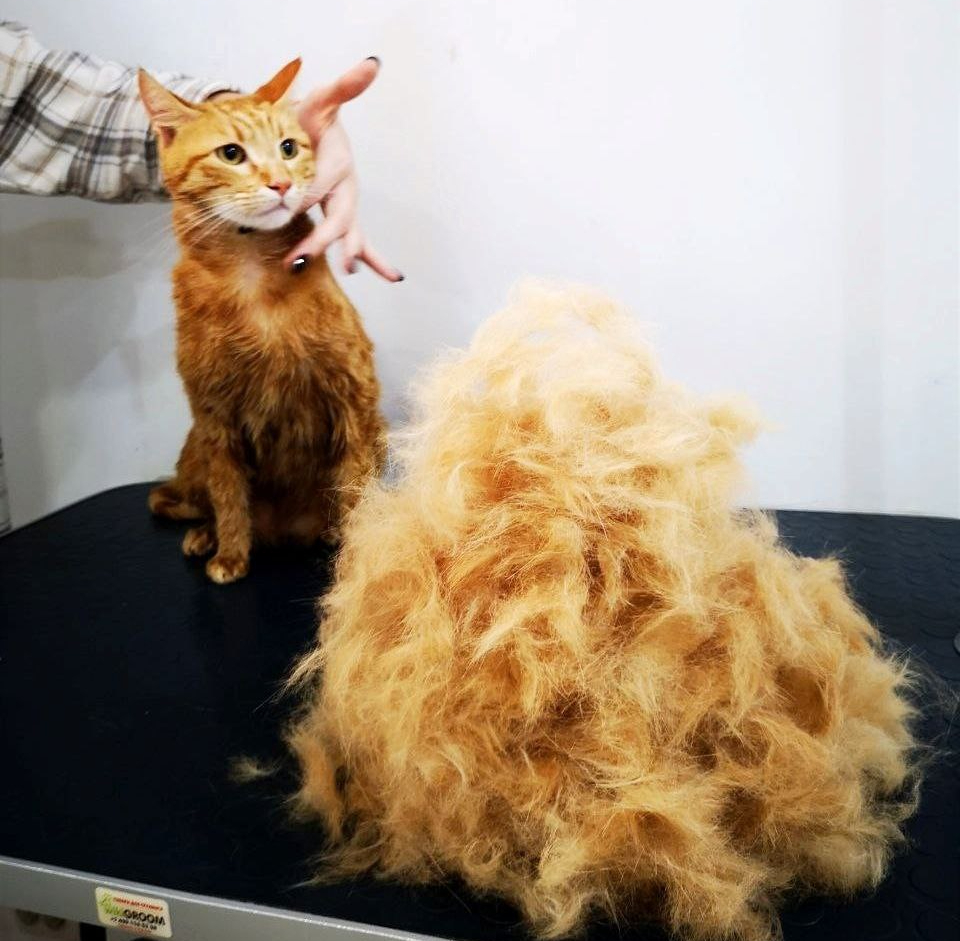 b32c00f1-3dd8-4e84-90e2-66d261ae9b821