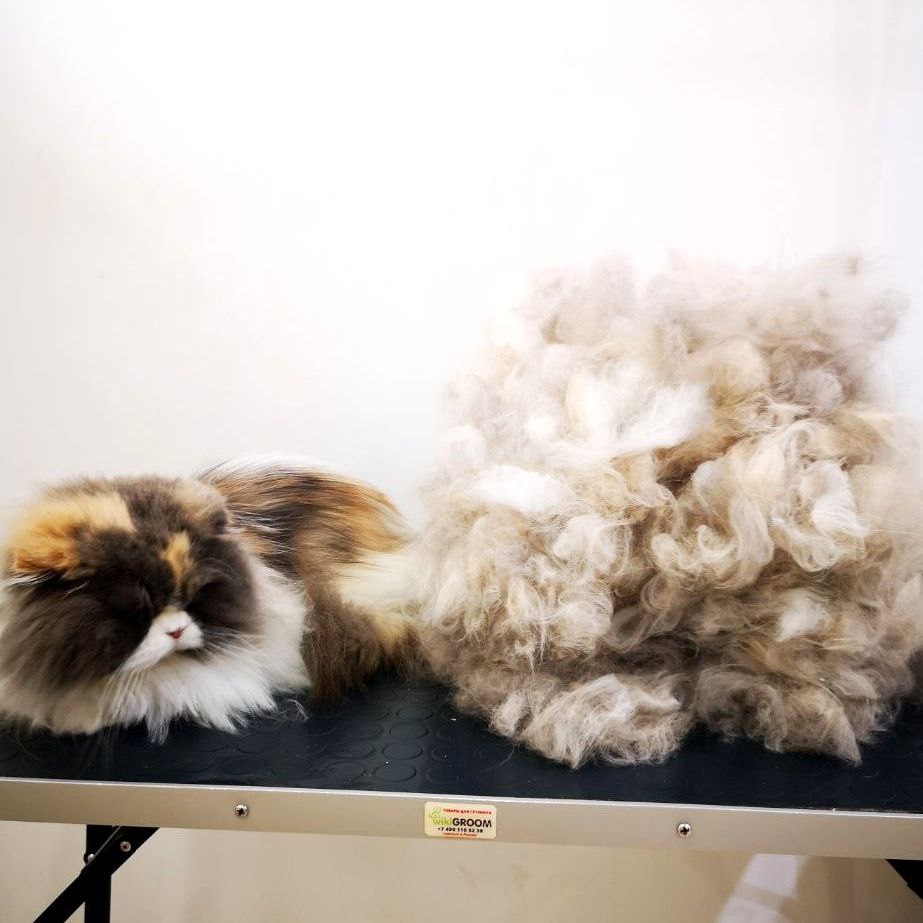 bbd08ad3-c0d8-4f0b-b0a0-7df5d086cf23