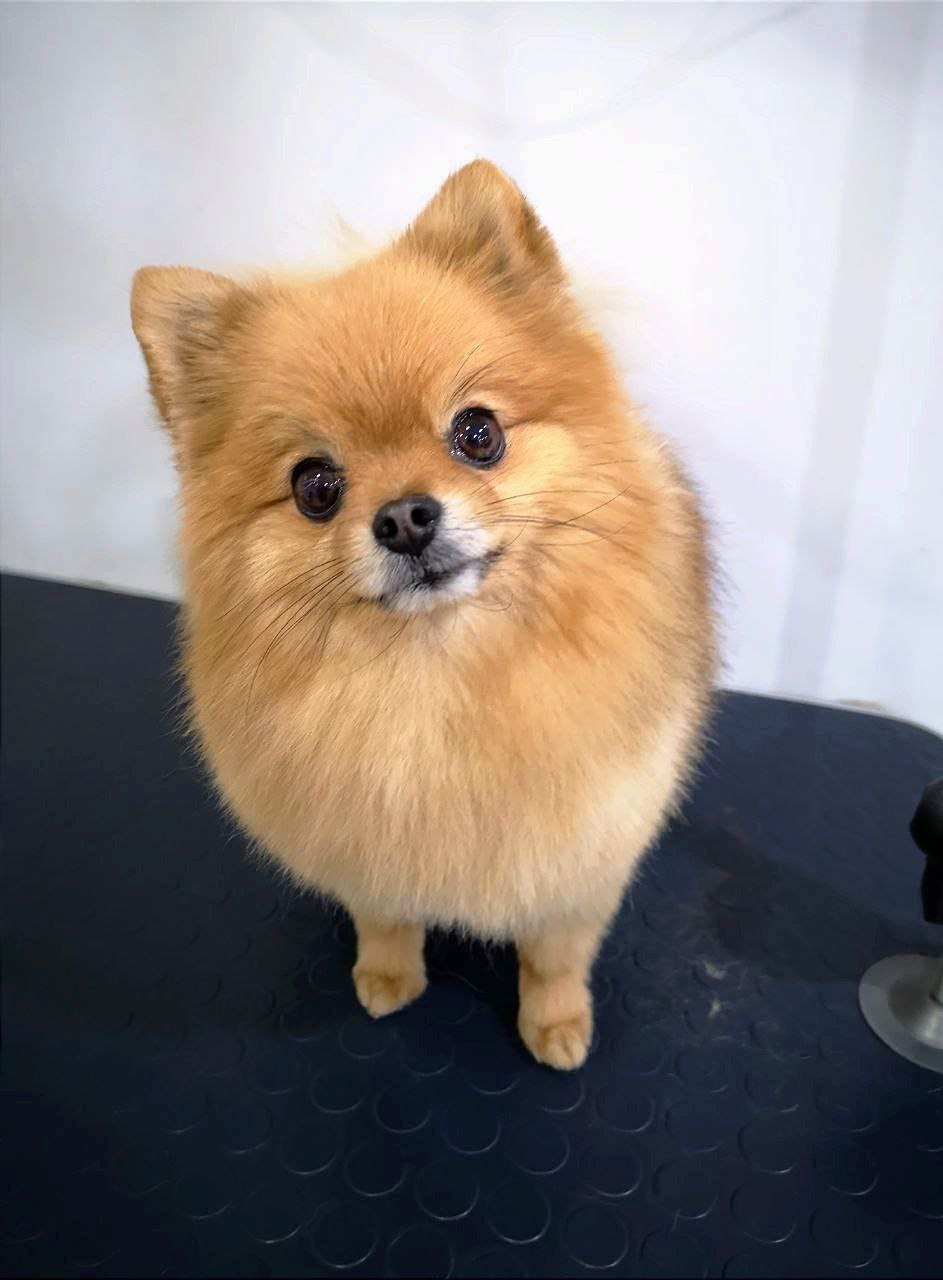 bd2a8cd1-317d-4e1a-b060-f8c06b9ec1f3