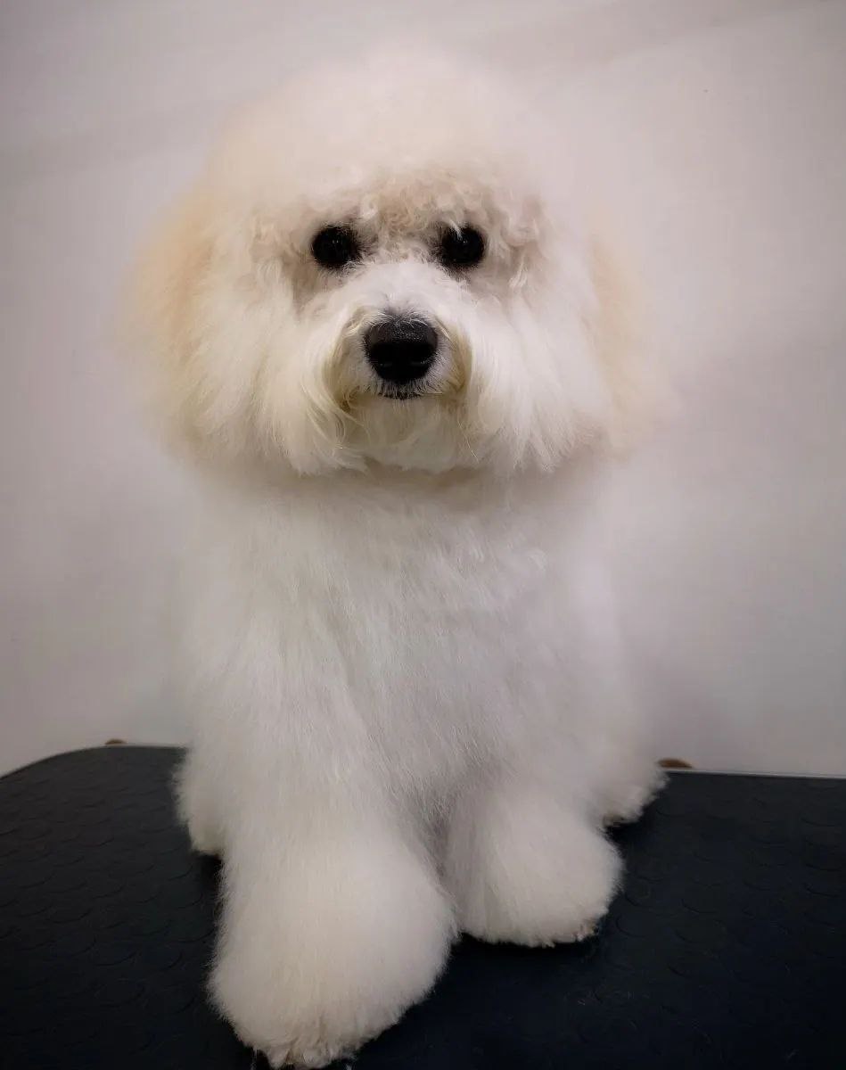 c84adb7f-e7f7-4750-b95e-8e85033019c6