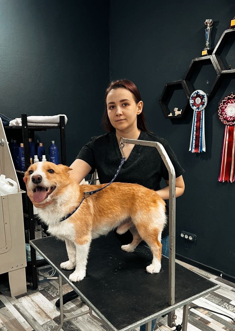 df469ecd-ca08-4705-b39a-426d94efef6c