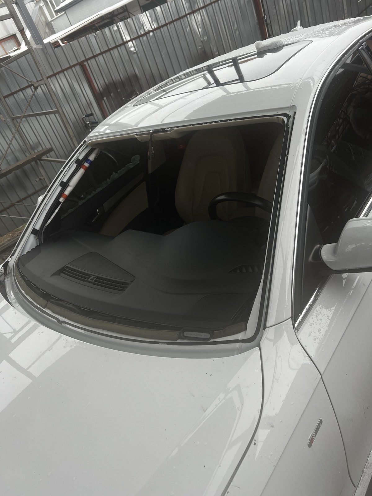 zobrazhennya_viber_2024-11-26_17-12-51-521