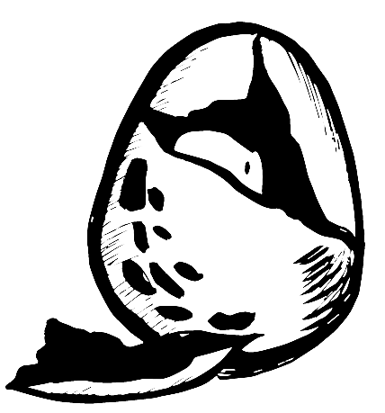 dra03