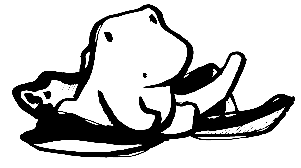 dra05