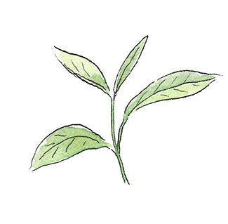 small_pic_leaf_1