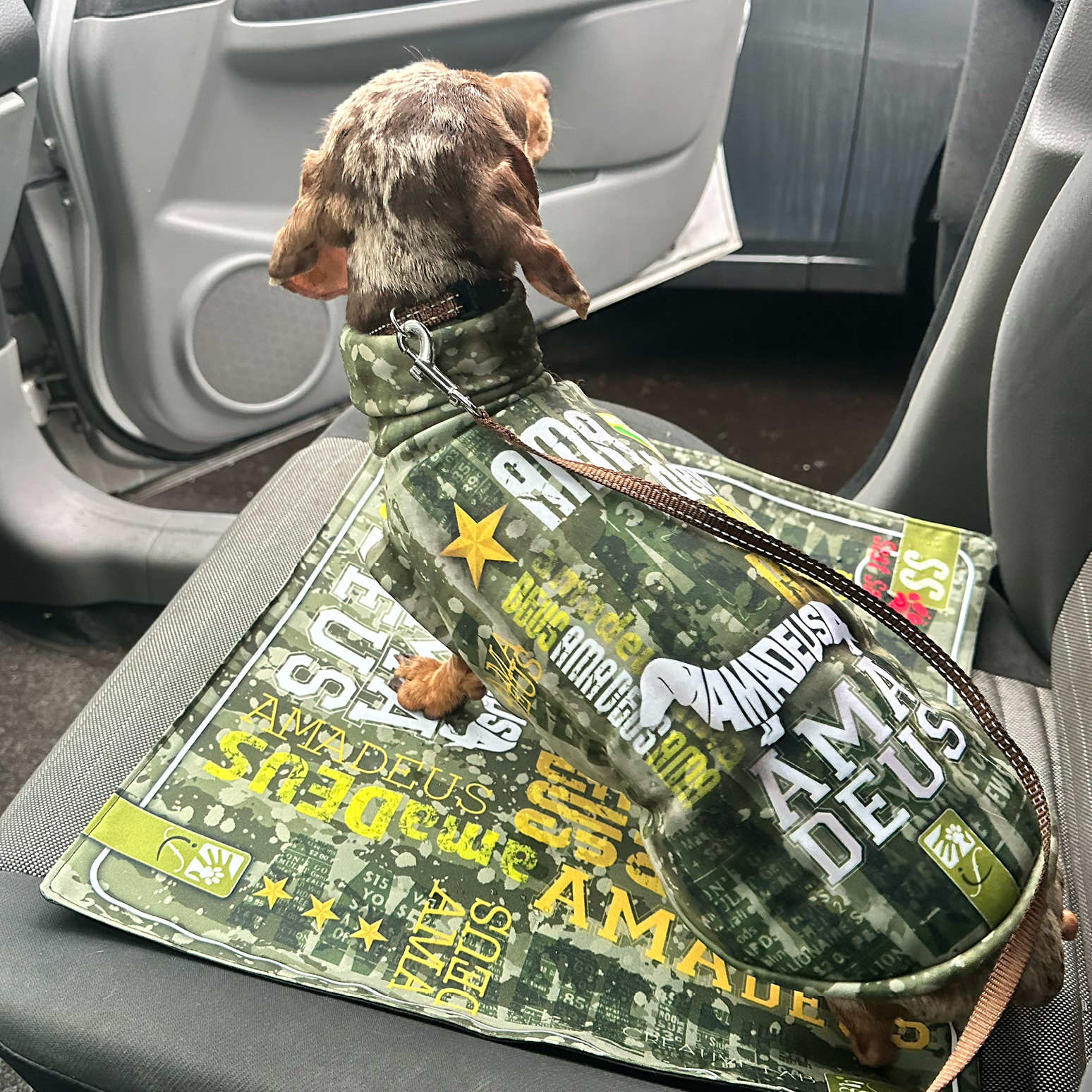 ACCESSORI_tappetini_AUTO_743x743pixel