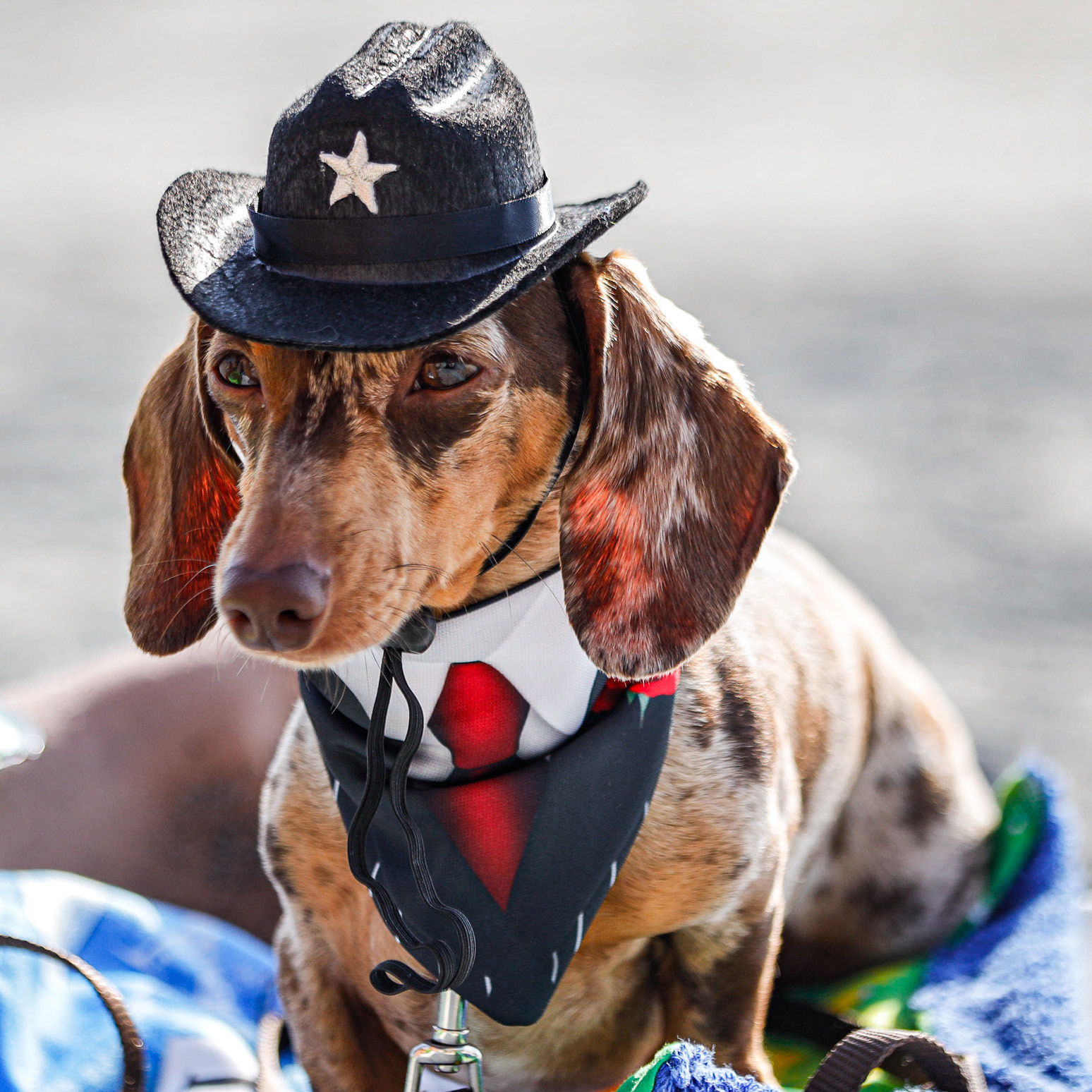 cappellini_743x743pixel5