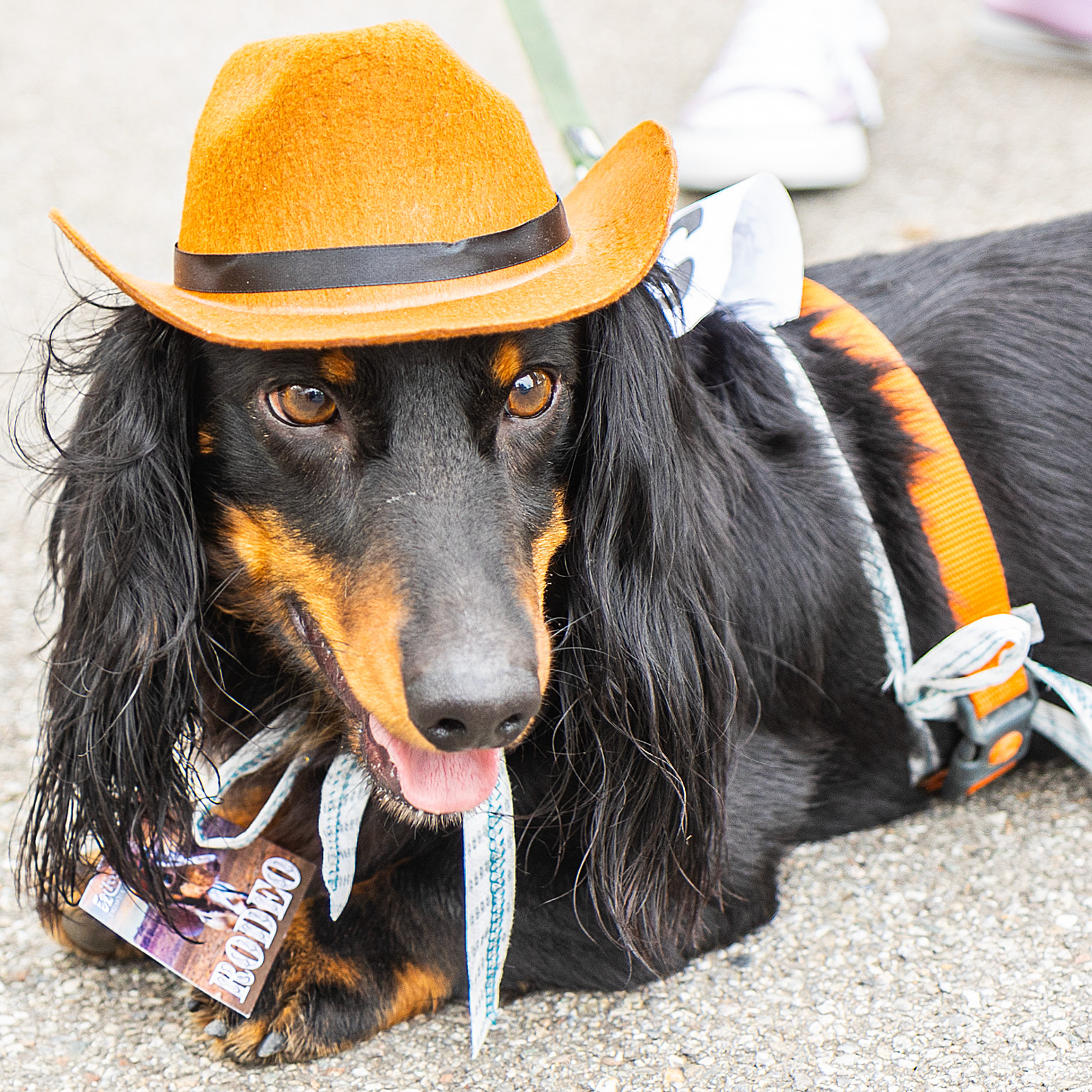 cappellini_743x743pixel7